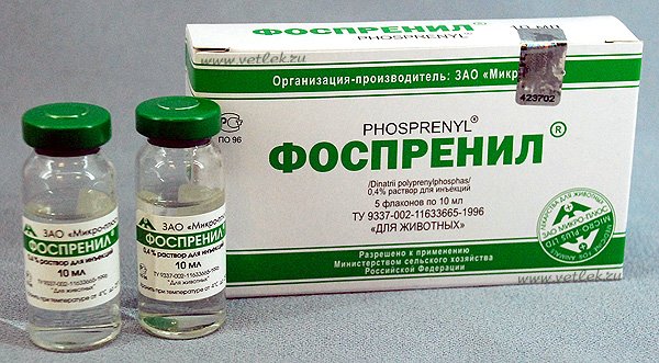 Купить Фоспренил для ветеринарного применения раствор для инъекций 0.4%  10мл фл 1 шт по выгодной цене в ближайшей аптеке в городе Пермь. Цена,  инструкция на лекарство, препарат