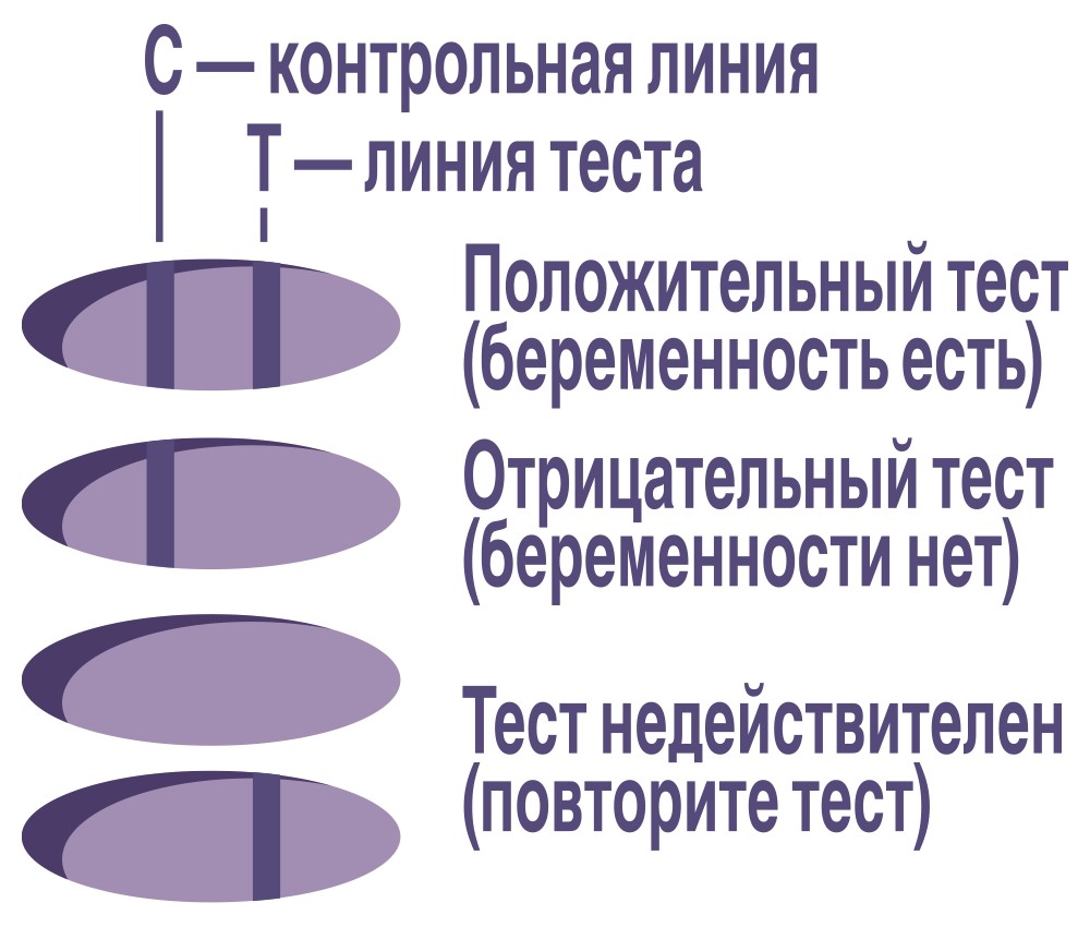 Купить evitest Proof Экспресс-тест для определения беременности, кассетный  тест 1 шт в городе Пермь в интернет-аптеке Планета Здоровья