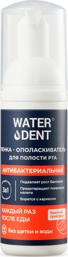 Пенка антибактериальная с хлоргексидином WATERDENT 50 мл