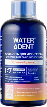 WATERDENT жидкость для ирригатора +ополаскиватель УТРЕННИЙ ДЕТОКС 500 мл, вкус манго