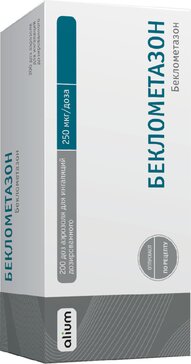 Беклометазон аэрозоль для инг. дозир. 250мкг/доза 200доз баллоны в комплекте с распылителем