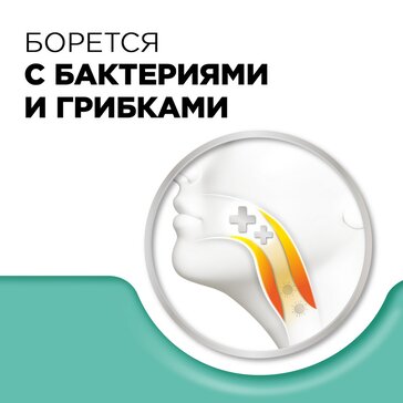 Купить стрепсилс с Ментолом и Эвкалиптом таблетки для рассасывания 24 ...