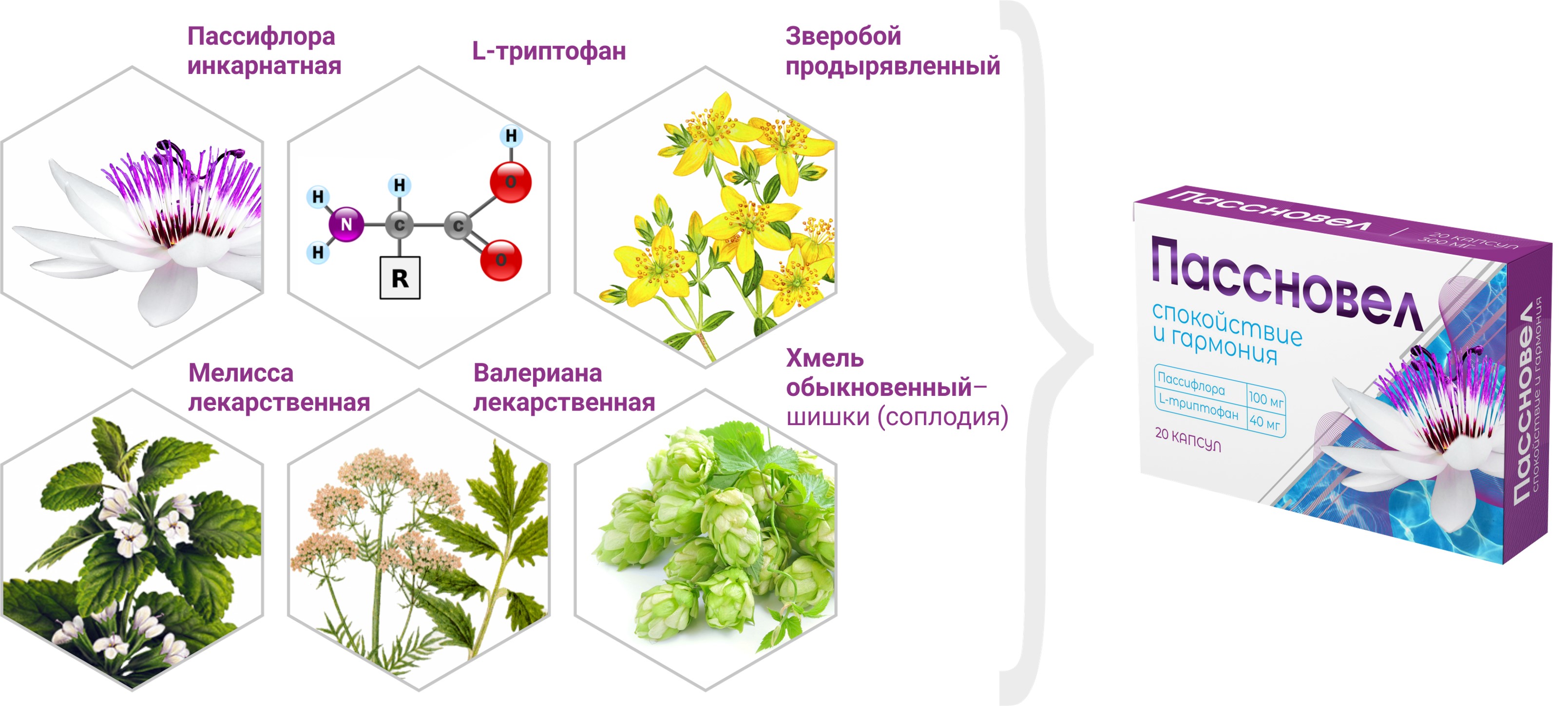 Триптофан в организме. Пассновел капс. 20 Шт. Состав растения. Растительные источники триптофана. Триптофан.