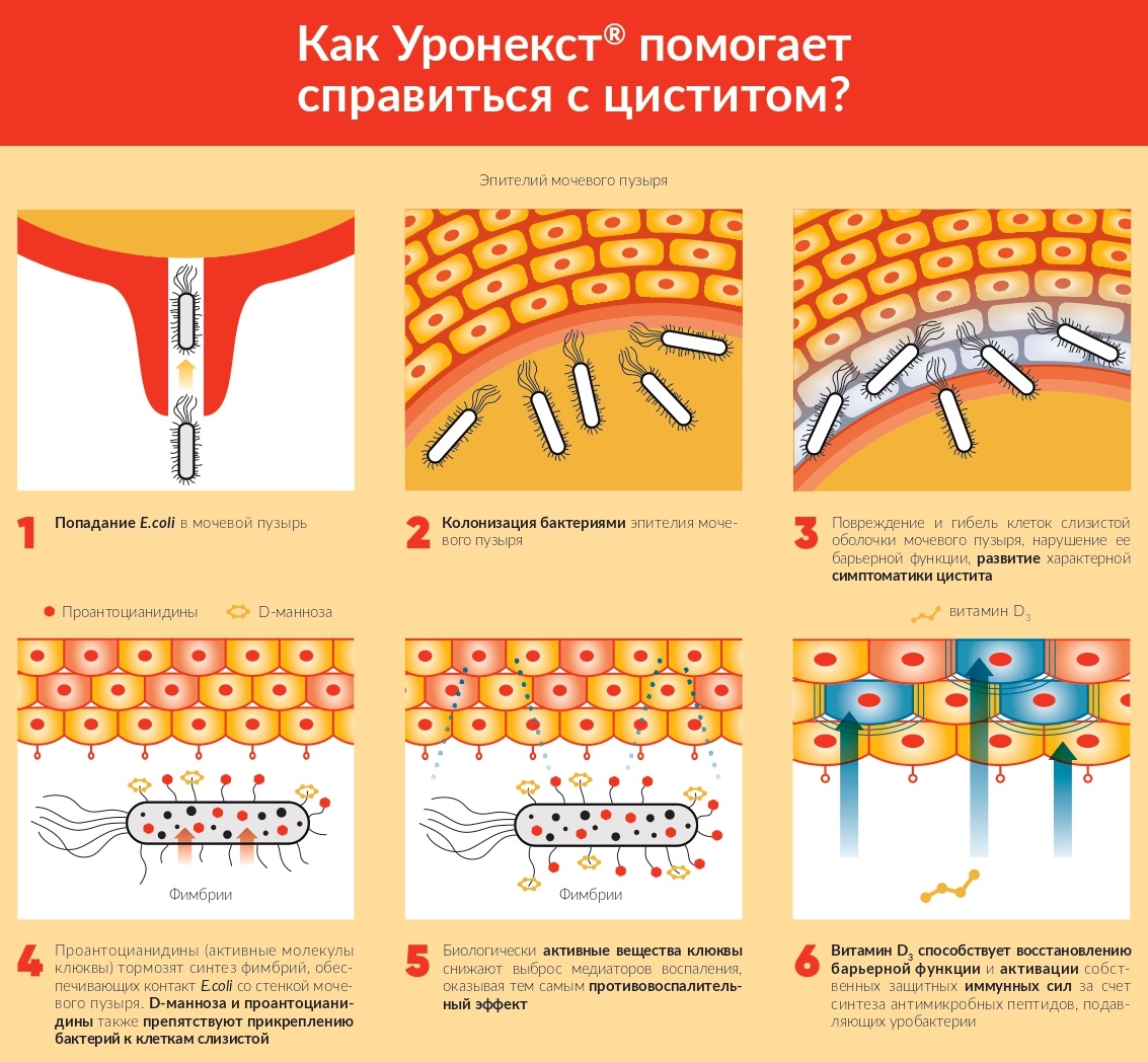 Уронекст при беременности. Уронекст. Уронекст порошок. Уронекст 7.